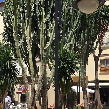 Casa Siempre Domingo * 莫莱拉