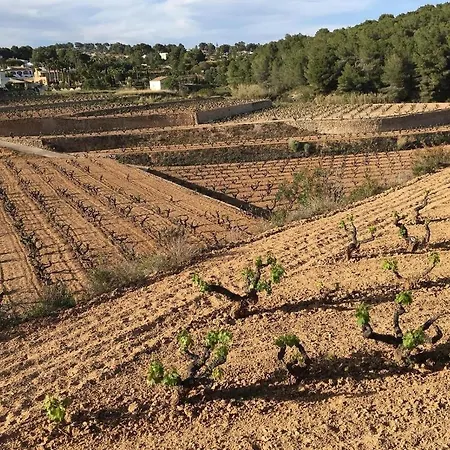 别墅 Casa Siempre Domingo 莫莱拉